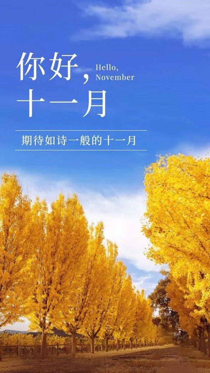 再见10月,11月你好的句子（十月之别，十一月之迎）