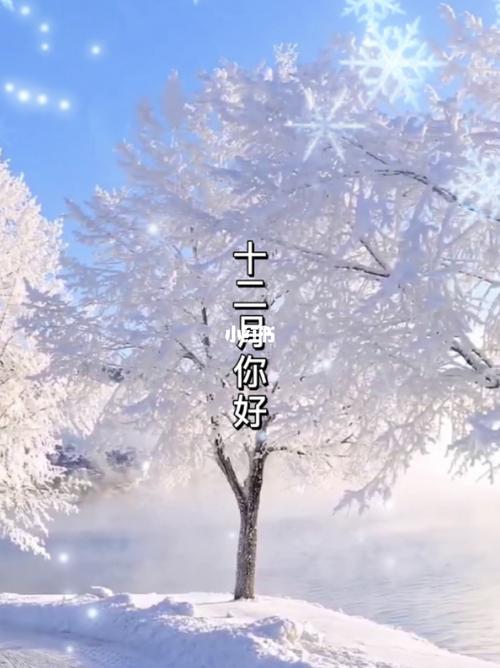 11月再见12月你好励志说说文字句子语录（与过去告别，勇敢迎接未来；）