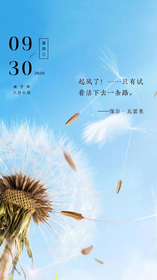 2020年十二月最后一天的说说（最后的夜晚，最初的清晨）