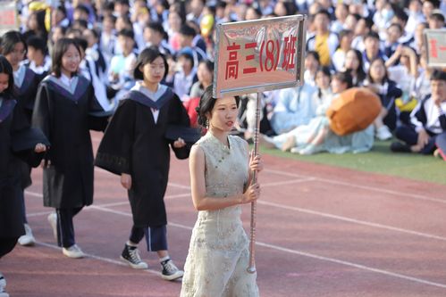 金秋运动会口号（运动激情）