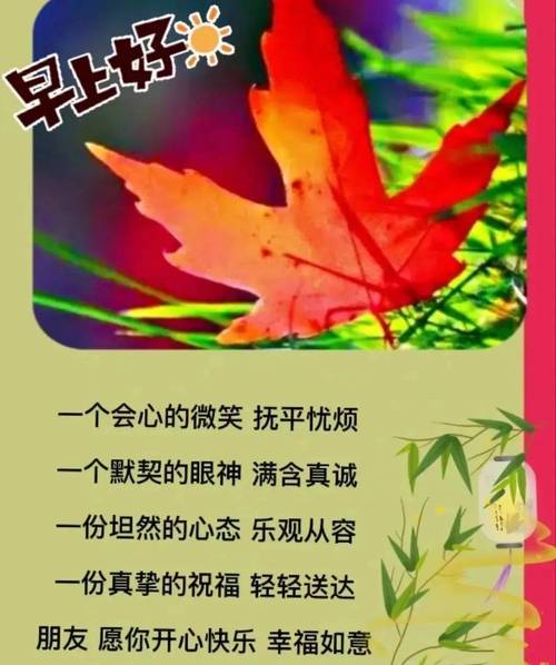 秋分祝福短信大全（美好未来，从此刻开始）