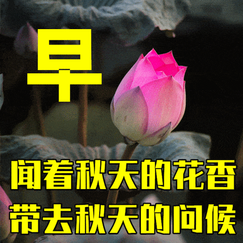 秋分早安祝福语（用25个唯美的句子，传递对秋分的美好祝福）