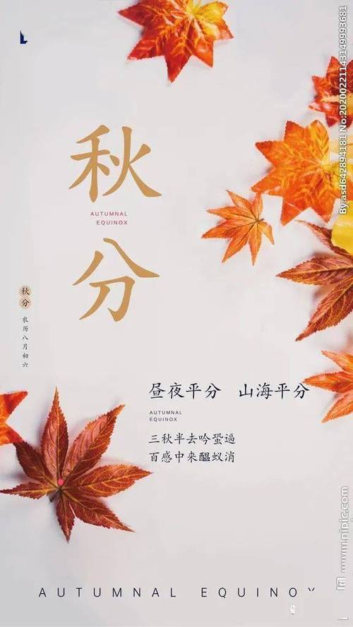 秋分节气关心问候语（花开在秋分，祝福永相伴）