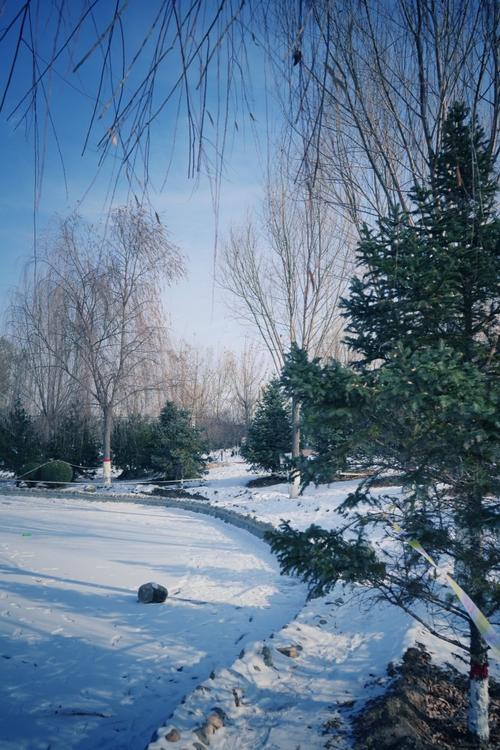 有关感谢冬日那场雪的作文题目（《感谢雪给予我们的》）