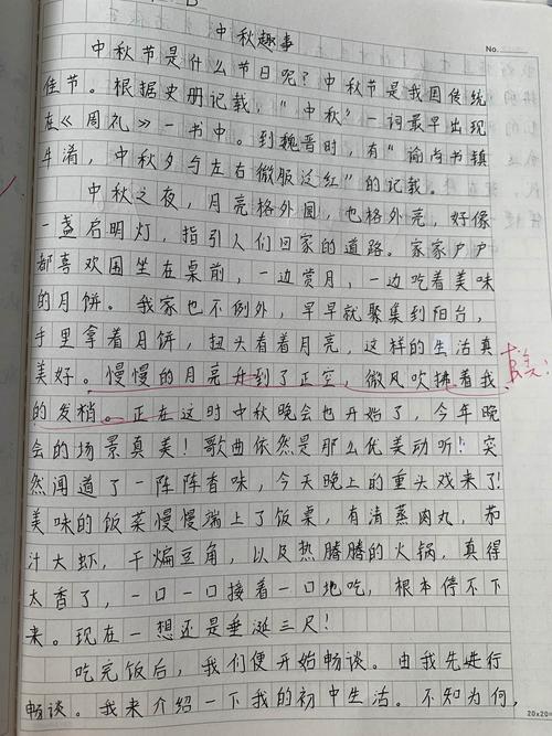 中秋节作文趣事情500字（《中秋玩闹记》）