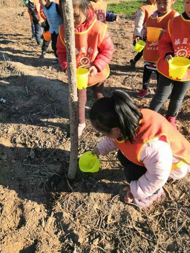 植树感受的作文（《种树，我与大自然的约定》）