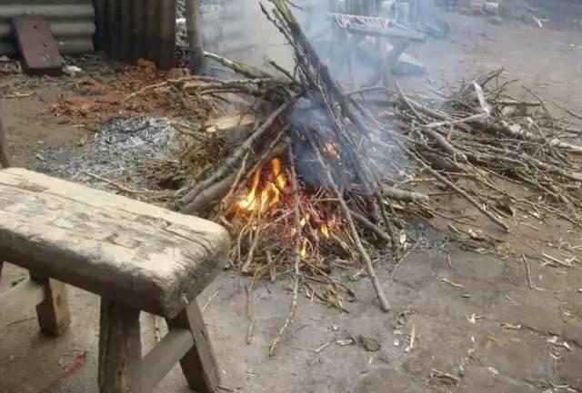 以难忘的农村趣事为话题的作文题目（《听风听雨，闻花闻草，在乡村探寻大自然的秘密》）