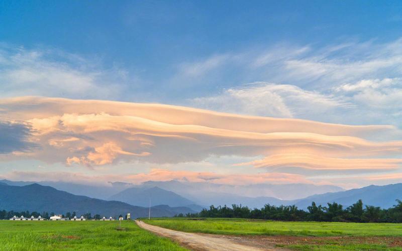 美丽的夏天风景作文（《故乡的风景》）