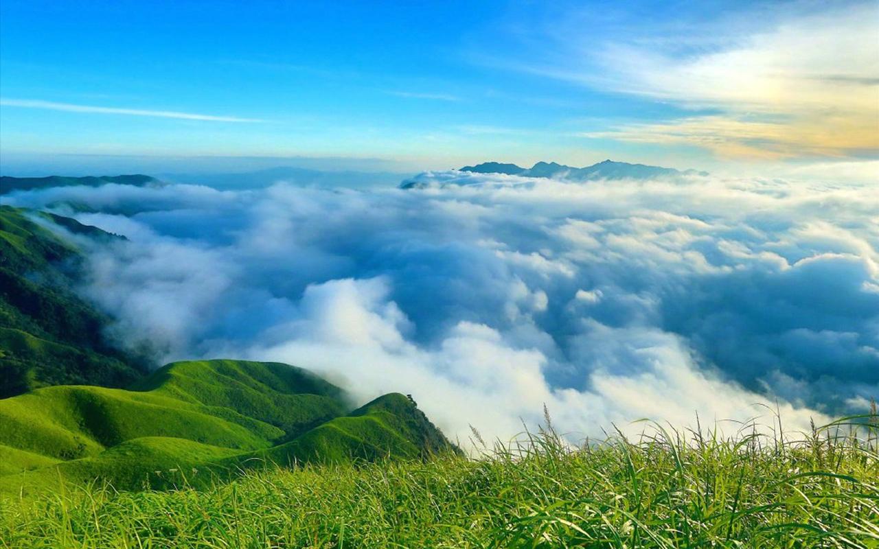 美丽的夏天风景作文（《美好的风景》）