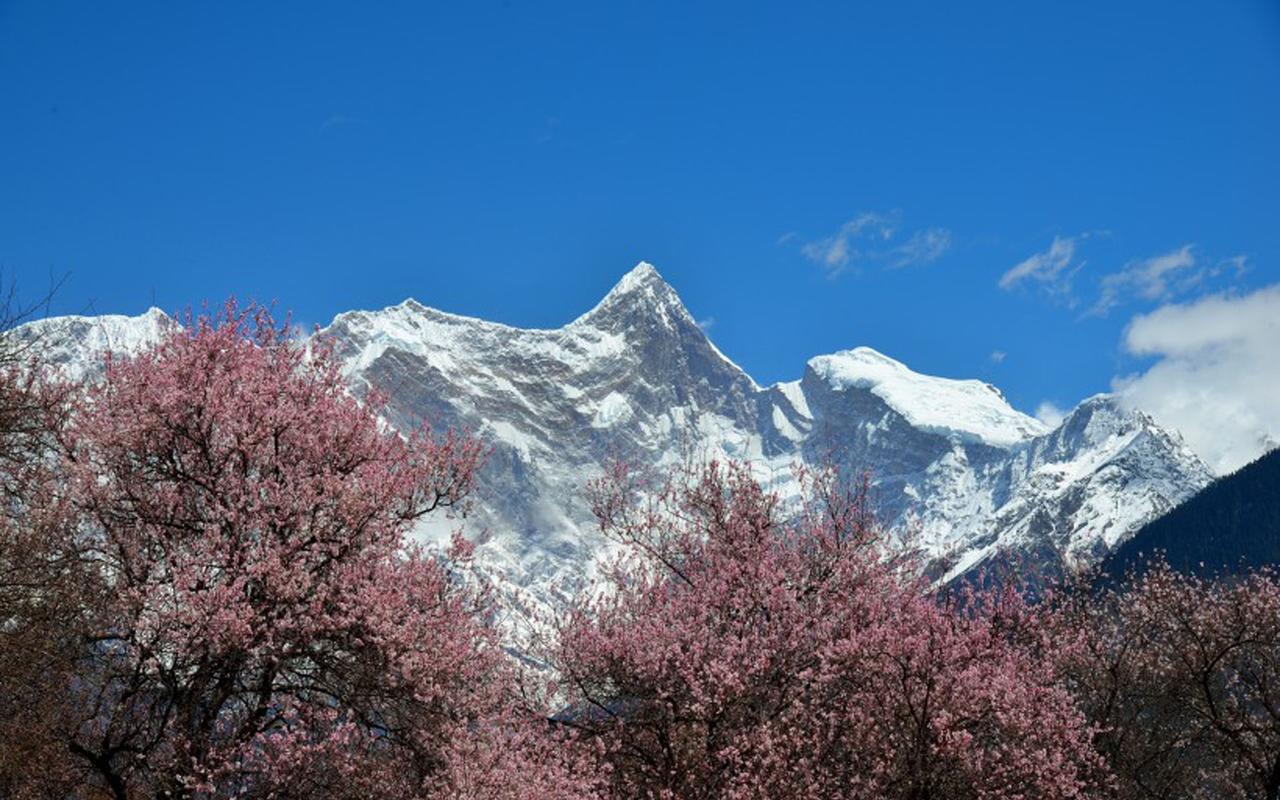 那些迷人的乡村风景作文（《别样的风景》）