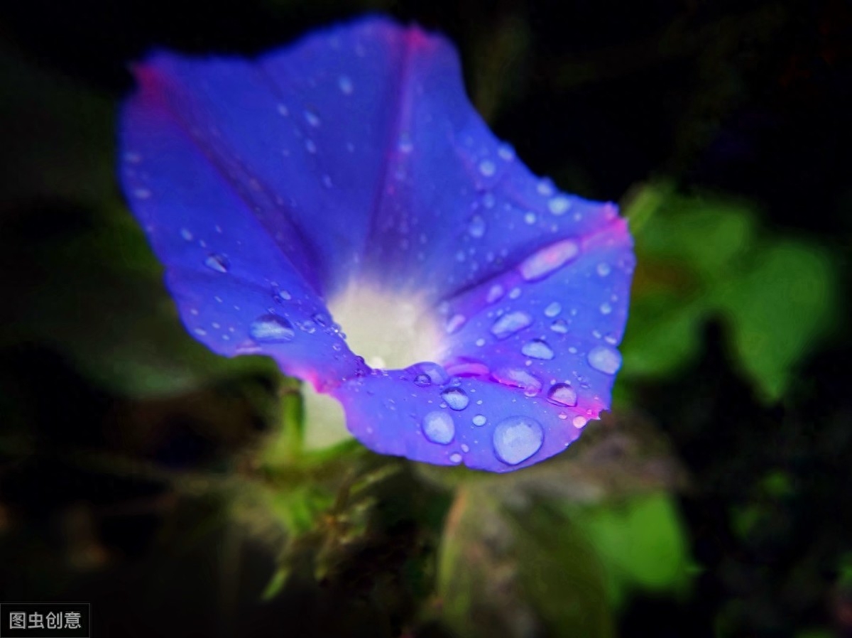 雨天诗词古句摘抄（关于雨水的诗句古诗）