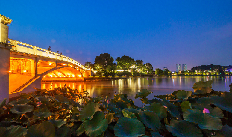 夏天唯美古诗词（关于夏天夜晚十首诗句）