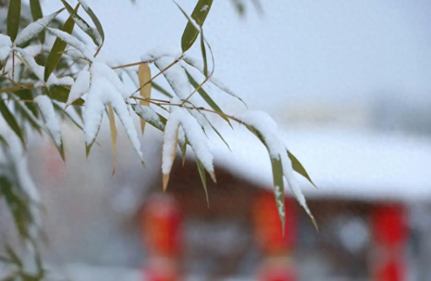 形容雪花飘落意境的诗句（有关春雪的唯美诗词）