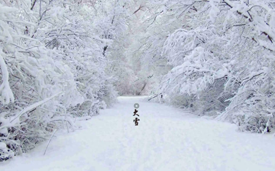 大雪经典古诗大全（十二首大雪的绝美诗词）