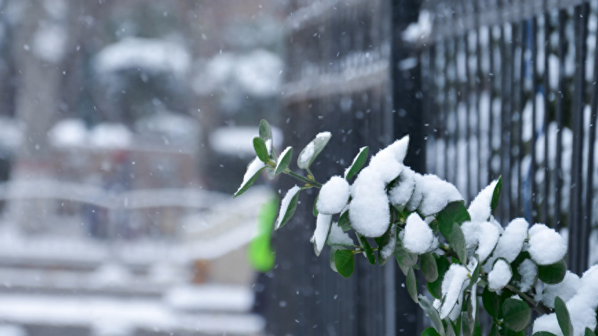 下雪经典古诗大全（描写初雪的唯美古诗词）