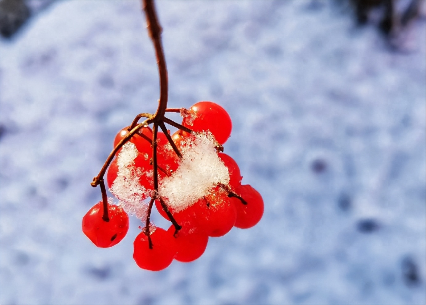 下雪经典古诗大全（描写初雪的唯美古诗词）