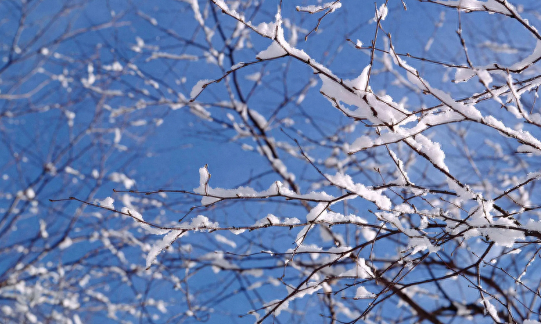 下雪经典古诗大全（描写初雪的唯美古诗词）