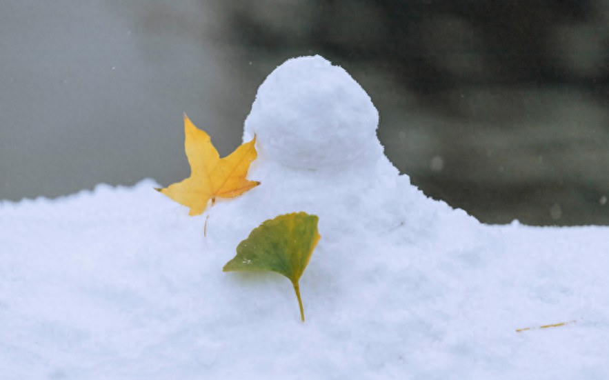 下雪经典古诗大全（描写初雪的唯美古诗词）