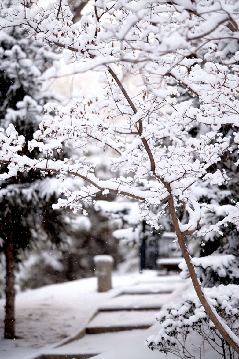 下雪经典古诗大全（描写初雪的唯美古诗词）