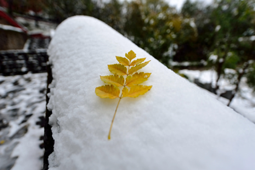 下雪经典古诗大全（描写初雪的唯美古诗词）