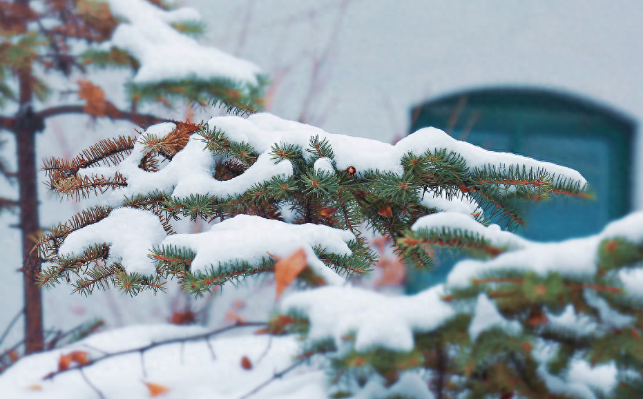 下雪经典古诗大全（描写初雪的唯美古诗词）