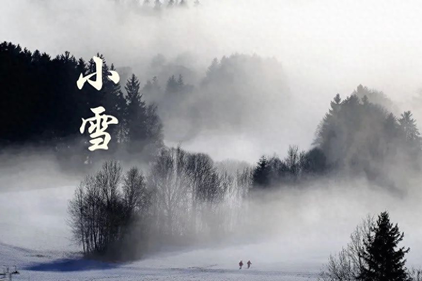 小雪唯美古诗大全（关于小雪优美的古诗）