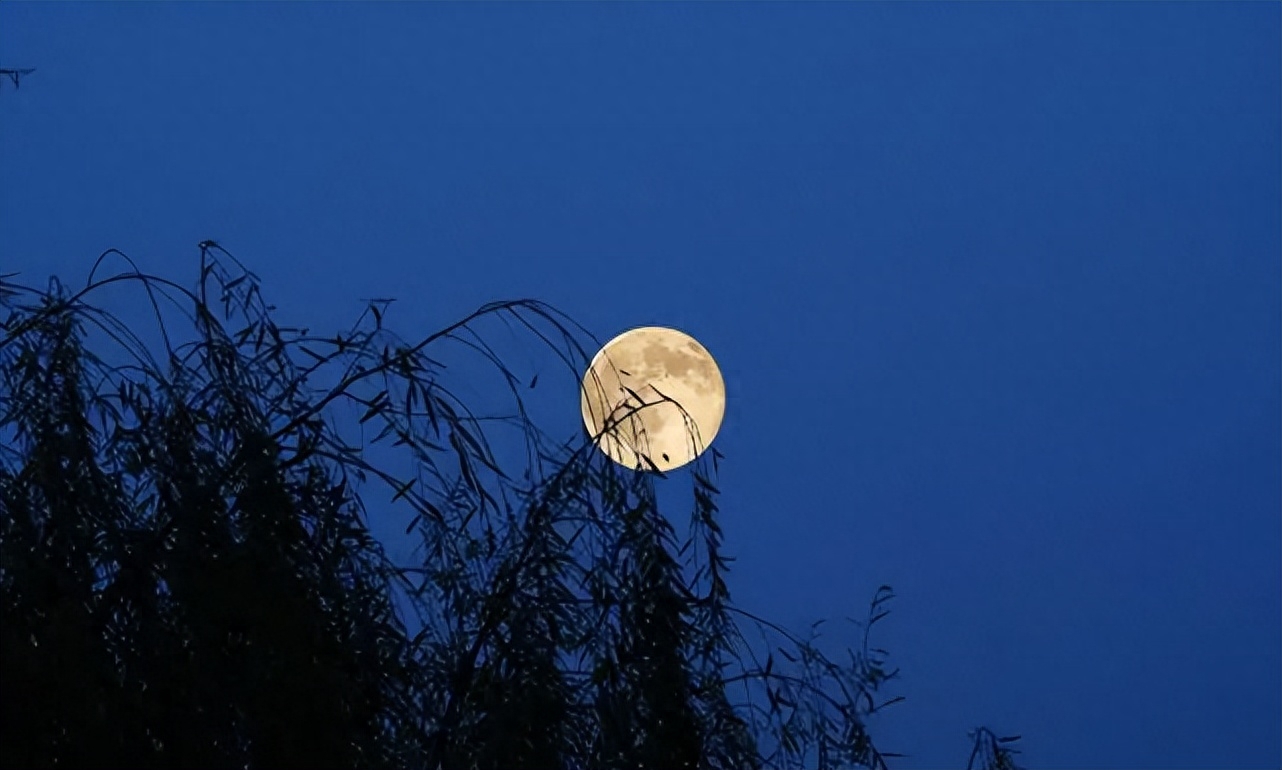 深秋夜晚的心情诗句（有关秋夜的十首诗词）