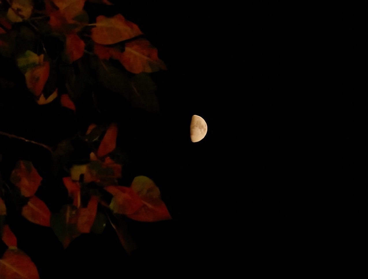 深秋夜晚的心情诗句（有关秋夜的十首诗词）