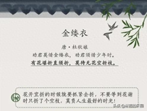 暖心经典古诗大全（愿你历尽山河，仍觉人间值得）