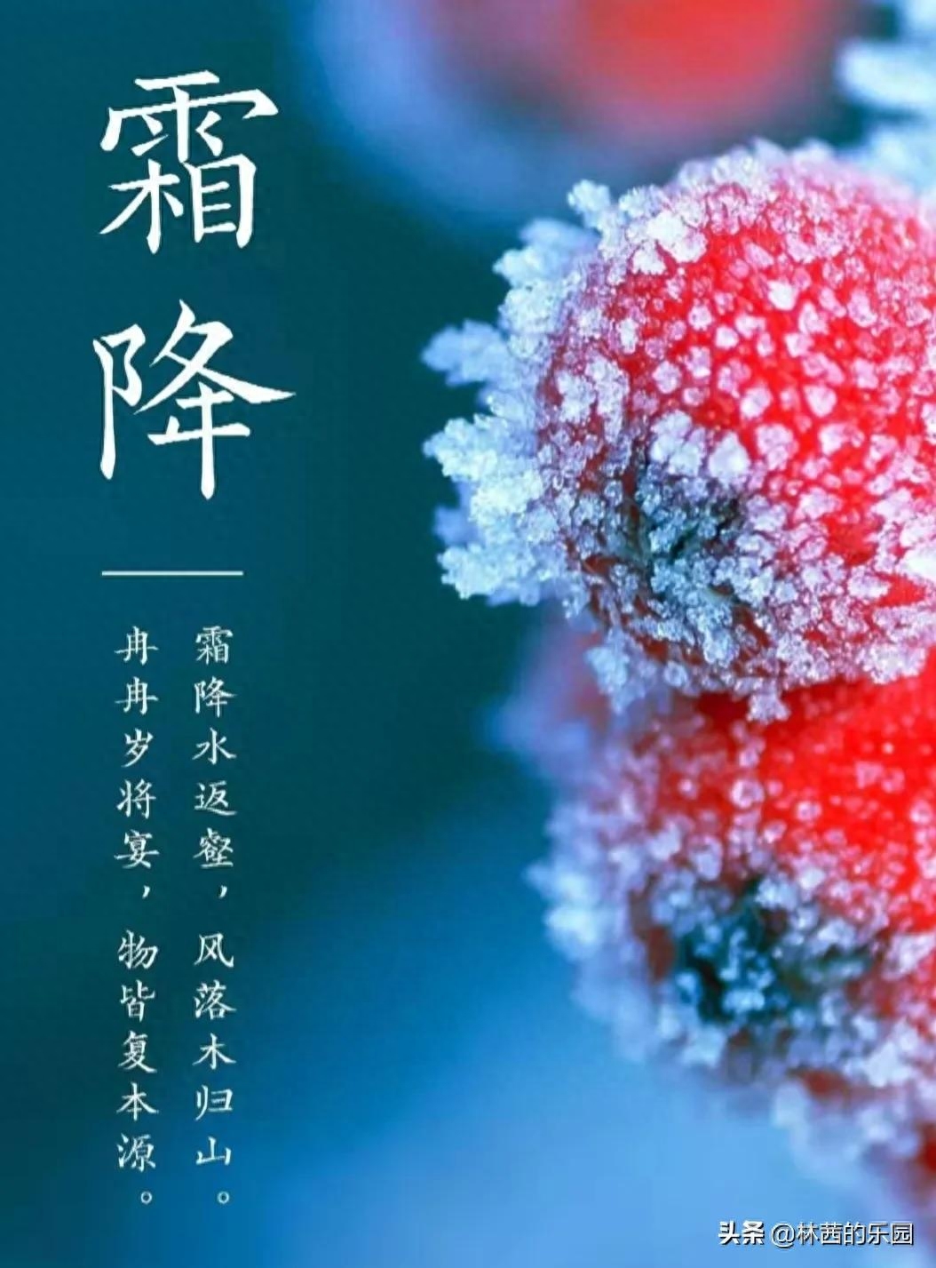 霜降经典古诗名句（8首优美的霜降诗词）