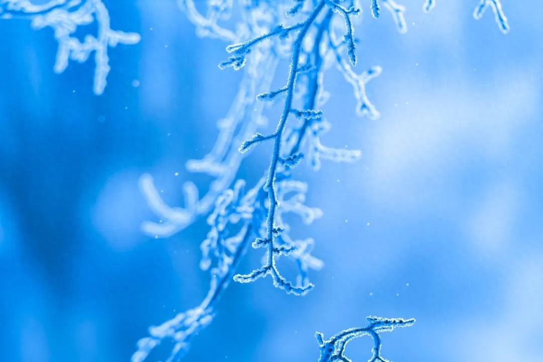 小雪唯美诗词大全（8首小雪诗词）