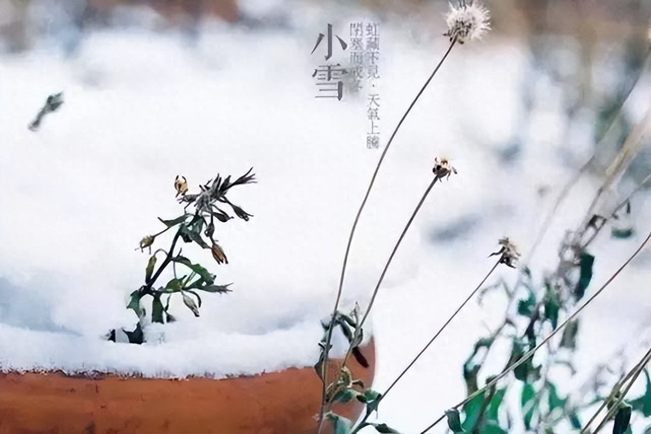 落字为念，有雪如诗（精选10首小雪诗词）