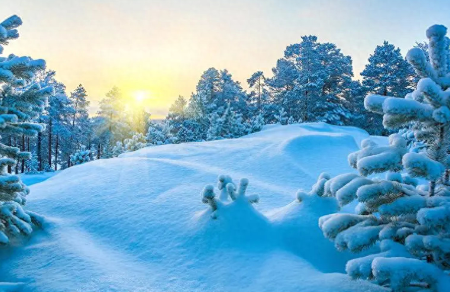 小雪唯美诗词大全（有关咏雪的诗词）