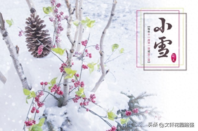 莫怪虹无影，如今小雪时（小雪诗词精选50首）