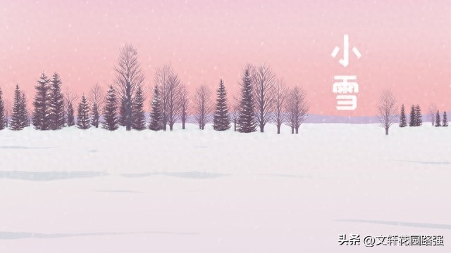 莫怪虹无影，如今小雪时（小雪诗词精选50首）