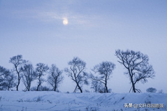 莫怪虹无影，如今小雪时（小雪诗词精选50首）