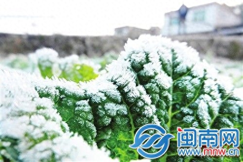 关于小雪的诗句古诗（描写雪景唯美的诗句）