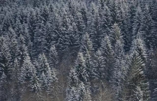 描写小雪节气的古诗词（10首经典诗词陪你静候初雪）