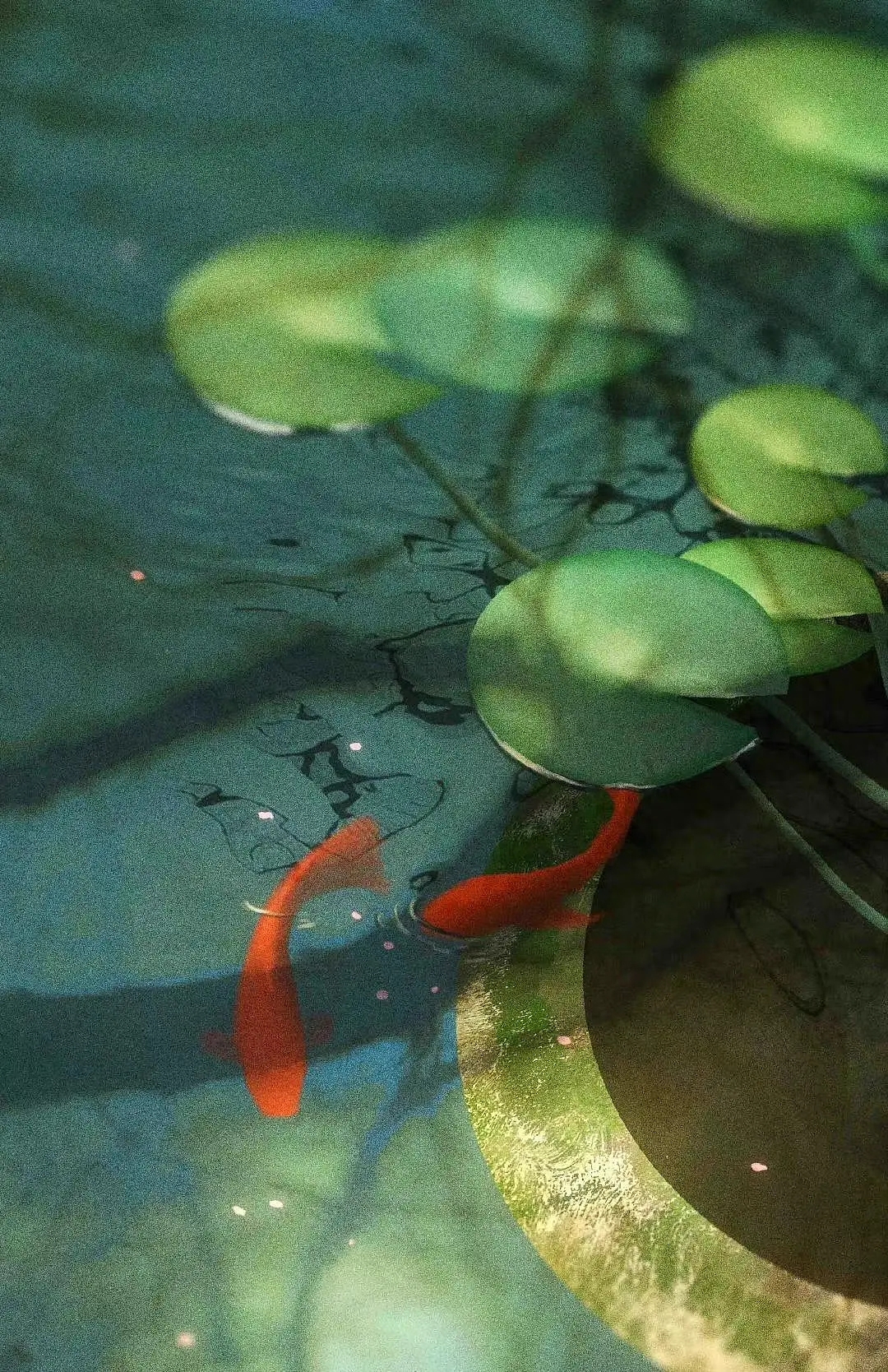 明月松间照，清泉石上流（30句清澈的诗词）