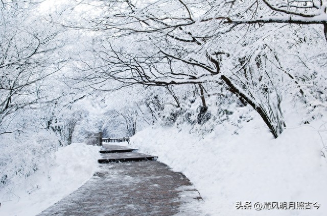 初雪诗词古句有哪些（初雪九首古诗词）