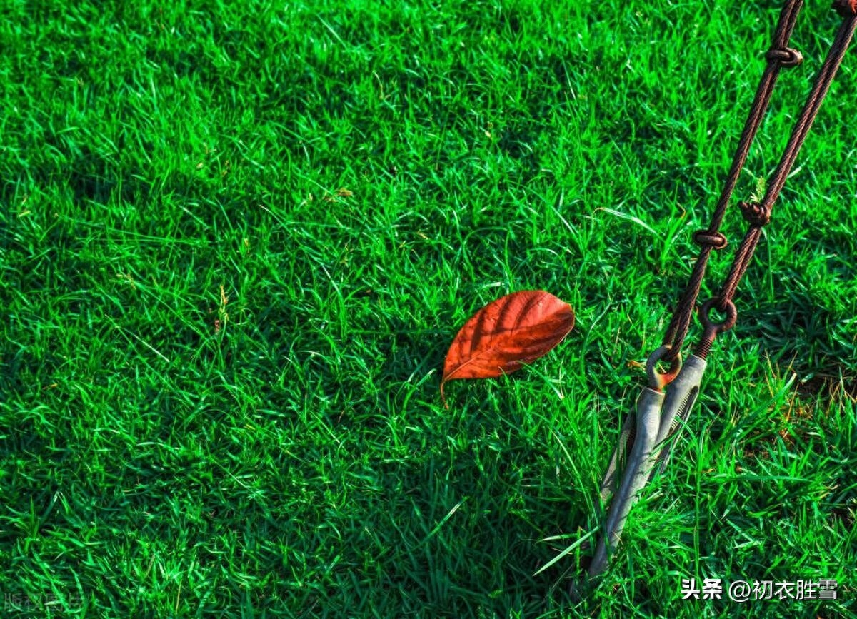 寒露节气古诗五首鉴赏（娟娟寒露中，金菊对芙蓉）