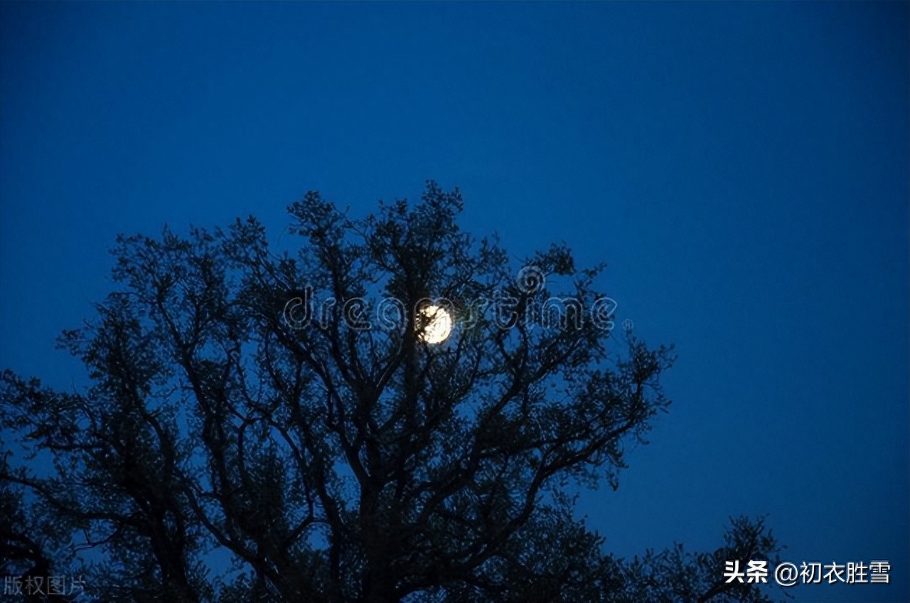 节气秋分唯美古诗五首（四海一明月，秋与夜俱分​）