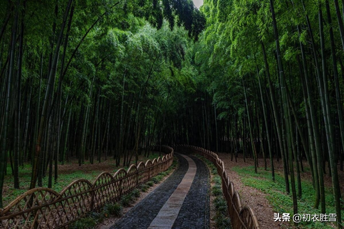 小暑节气古诗五首赏析（小暑一声雷，花时天小暑）