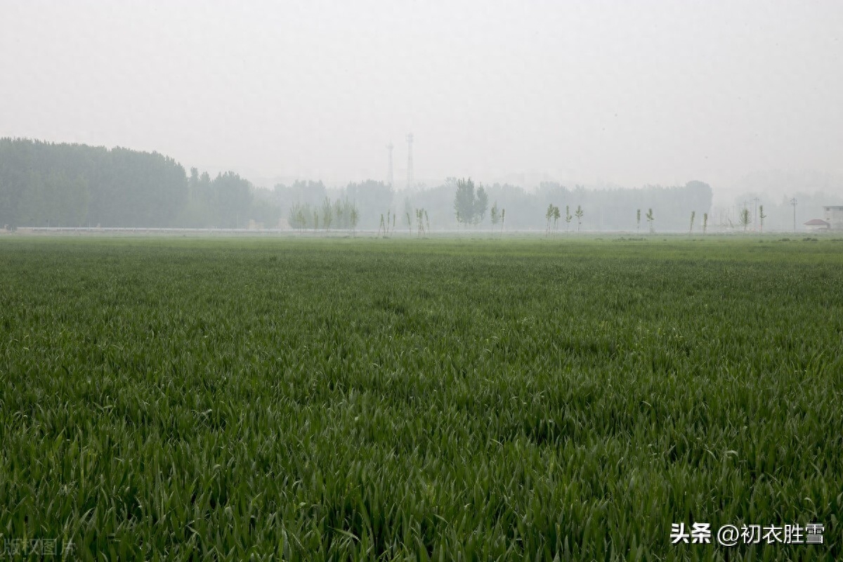 谷雨节气唯美古诗七首（谷雨催耕水拍田，东皋谷雨满春田）