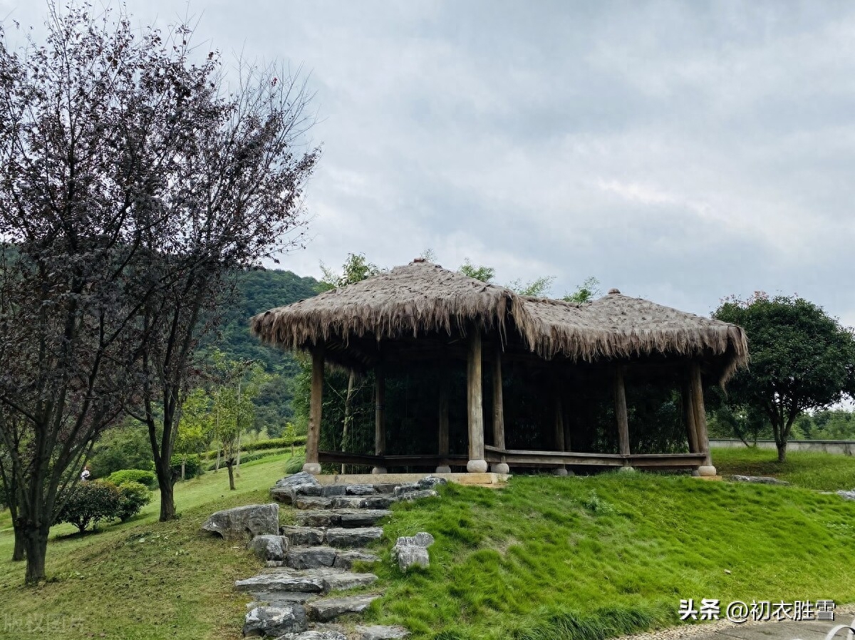 明快晚春优美古诗五首（水边天际绿成围，阴阴新绿满林梢）