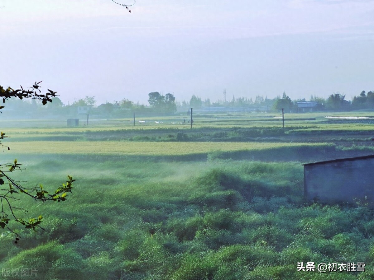 明快晚春优美古诗五首（水边天际绿成围，阴阴新绿满林梢）