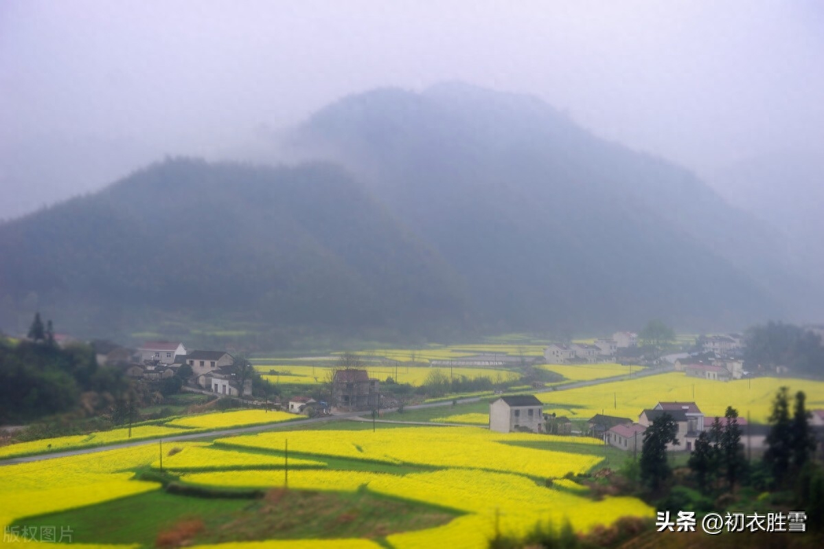 春雨停云三首唯美诗词（陶渊明的深沉惆怅，辛弃疾的悲感豪放）