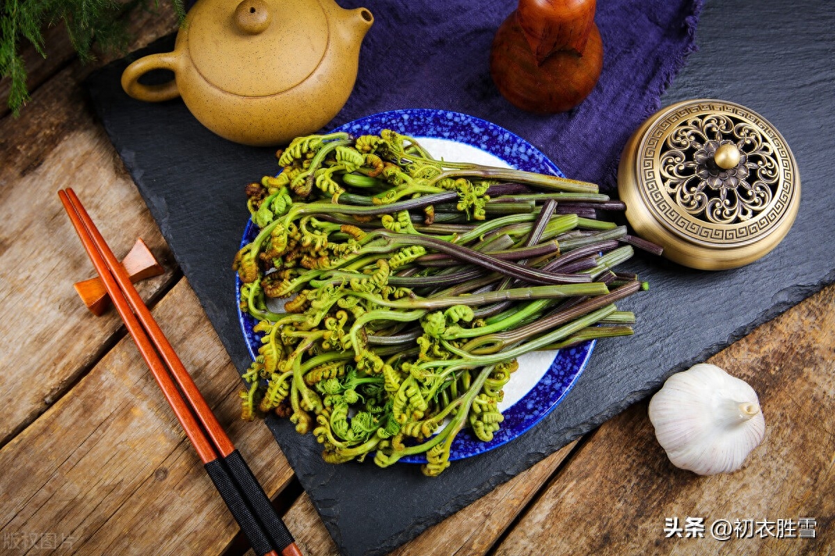 春蕨优美古诗六首赏析（晓雨旋添山蕨菜，中林春雨蕨芽肥）