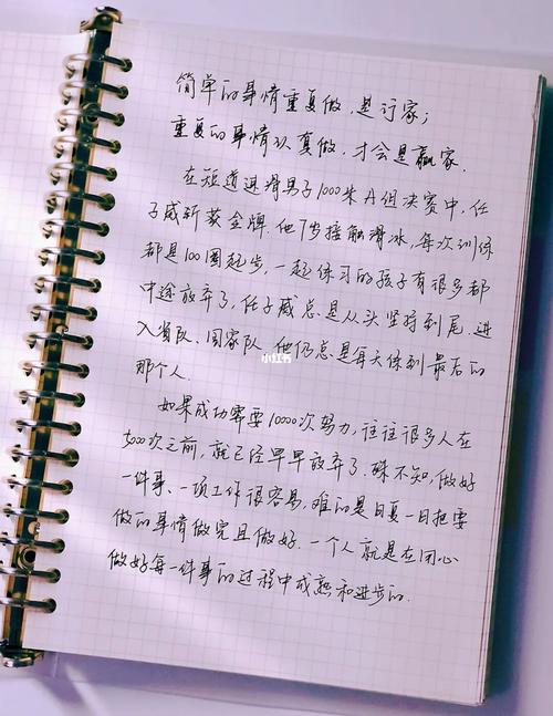 获得成长的作文800字（《成长路上的磨砺》）