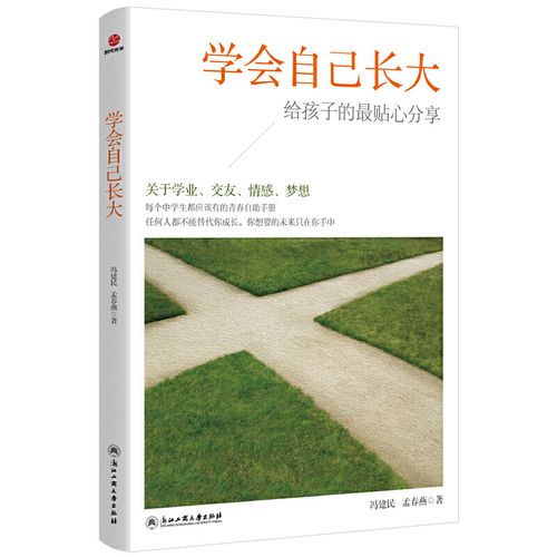 有关成长的困惑的作文素材（《成长路上的烦恼——一个少年的故事》）